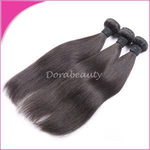 Human Virgin Hair Brazilian Straight Hair