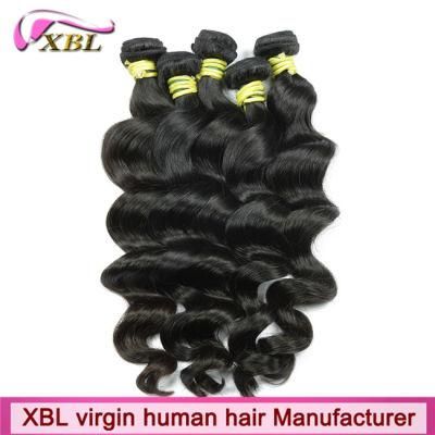 Popular Virgin Hair Wave Xbl Indian Loose Wave Hair