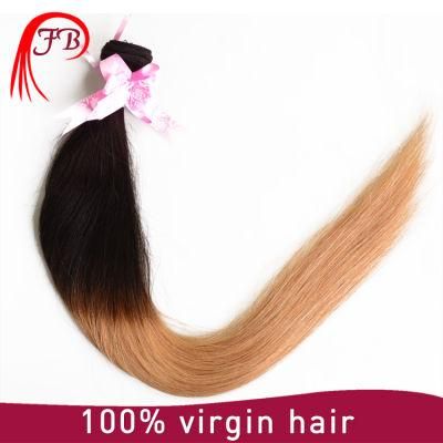 Popular 7A Grade Omber Virgin Hair Silky Straight Human Hair