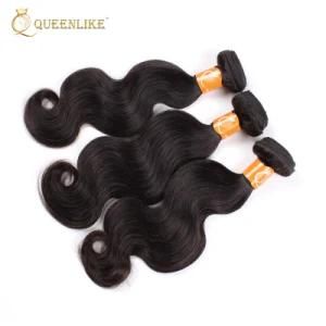 Raw Indian Virgin Cuticle Aligned Human Hair Extensions