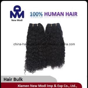 Brazilian Human Hair Curl Hair Bulk Hair Extension