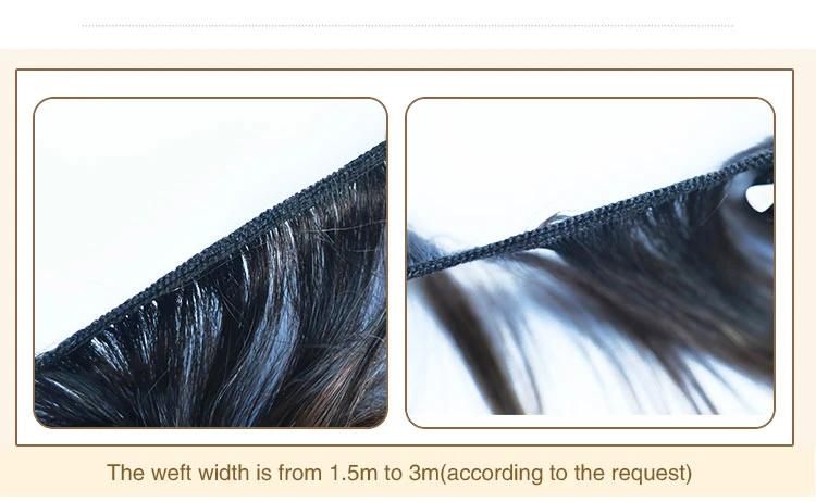 Denghao 100% Human Hair Virgin Human Hair Weft Hair Extensions