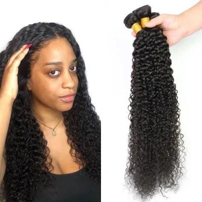 Factory Wholesale Kinky Curly Brazilian Virgin Human Hair Bundles Natural Black 18 Inch