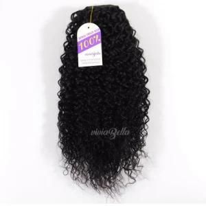 Indian Afro Curly Bouncy Jerry Curl Human Hair Ponytail
