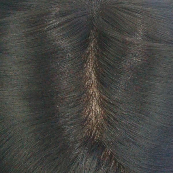 Lw363 Silk Mono Human Hair Wig