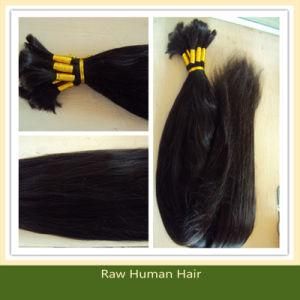 Straight Virgin Remy Brazilian Human Hair Bulk (B-10)