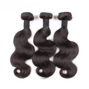 Super Double Drawn Russian Cuticle Aligned Raw Human Hair Bundles