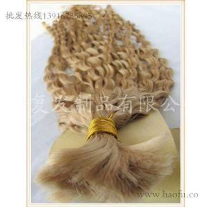 Human Hair Extensions