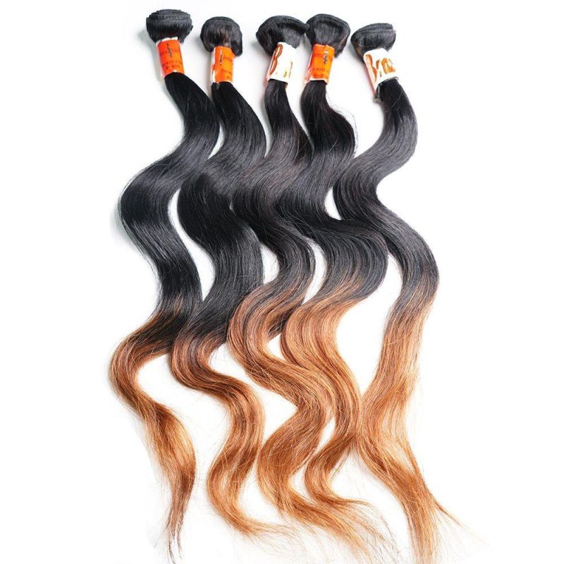 Human Hair Bundles Brazilian Human Hair Weave Ombre Hair Extensions