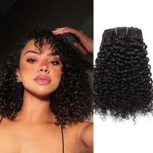 Jerry Curly Natural Black Clip in Human Hair Extensions