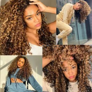 200% Density Curly Human Full Lace Hair Wigs with Swiss Lace