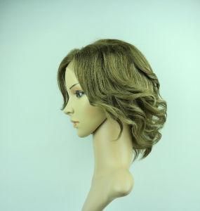 100% Africa Hair Full Lace Wig (Kinsofa 31733)
