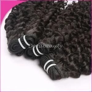 Top Quality Virgin Hair Indian Kinky Curly