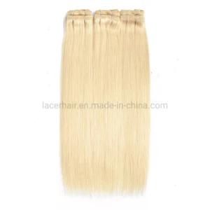 Wholesale 100% Real Natural Virgin Best 100% Brazilian Remy Clip in Human Hair Extension