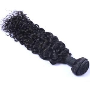 Malaysian Curly Hair Bundles Human Hair Weave