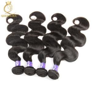 Raw Unprocessed Virgin Cuticle Aligned Brazilian Human Hair Extensions