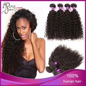 Good Quality Virgin Hair Deep Curly Human Hair