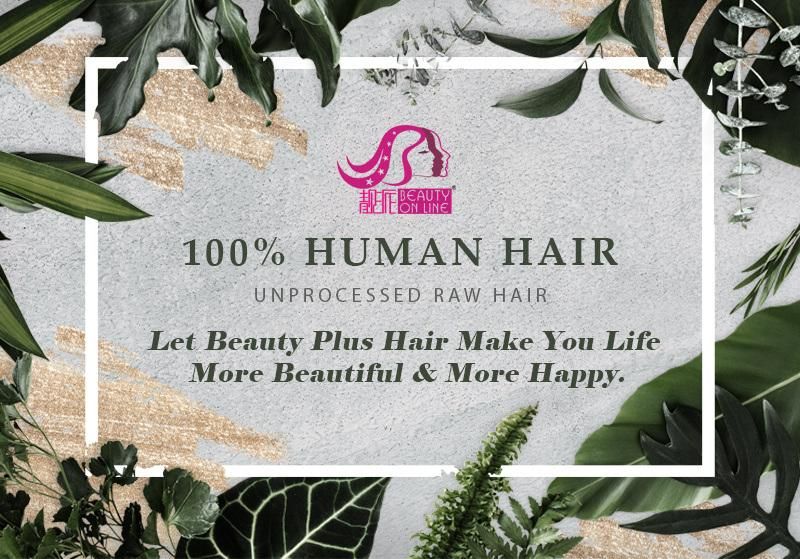 High Quality 100% Human Hair Bulk Human Hair for Women