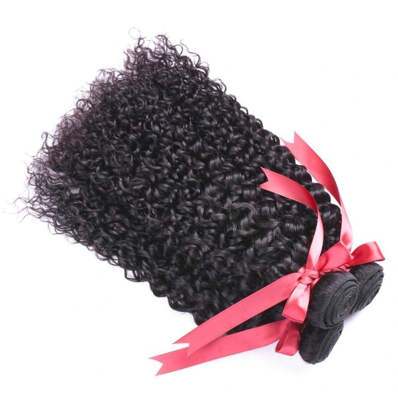 Riisca Unprocessed Human Hair Deep Curly Virgin Brazilian Hair Bundles