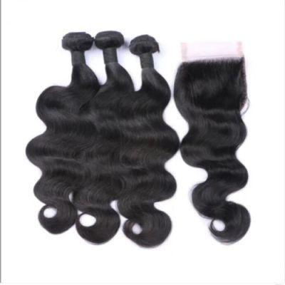 Best 100% Raw Remy Curly Natural Virgin Brazilian Cuticle Aligned Human Hair