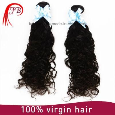 100% Virgn Remy Brazilian Natural Wave Human Hair Weft