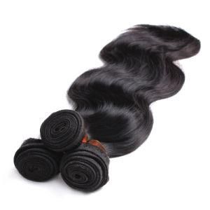 Virgin Raw Indian Human Super Double Drawn Hair Weave