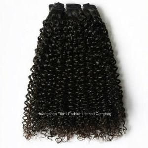 New Arrival American Hair Extension Kinky Curl Hair Wig