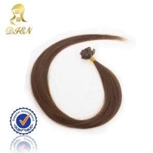 Wholesale Natural Brazilian U Tip Human Hair Extension