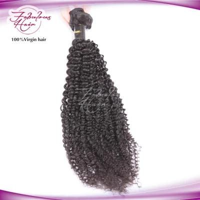 100% Perfect Queen Girl Brazilian Virgin Hair Kinky Curly Bundles