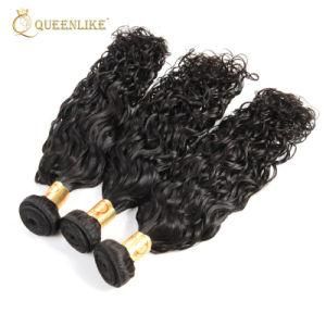 Mongolian Water Wave Virgin Cuticle Aligned Natural Human Hair