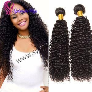 Human Hair Kinky Curly Hair Weavy Weft Brazilian Hair 3PCS/Pack with Free Shipping