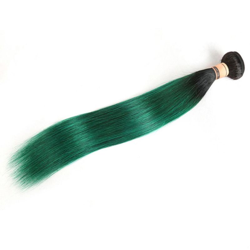 Straight Remy Hair Extensions Brazilian Human Hair Bundles 16 Inches T1b/613