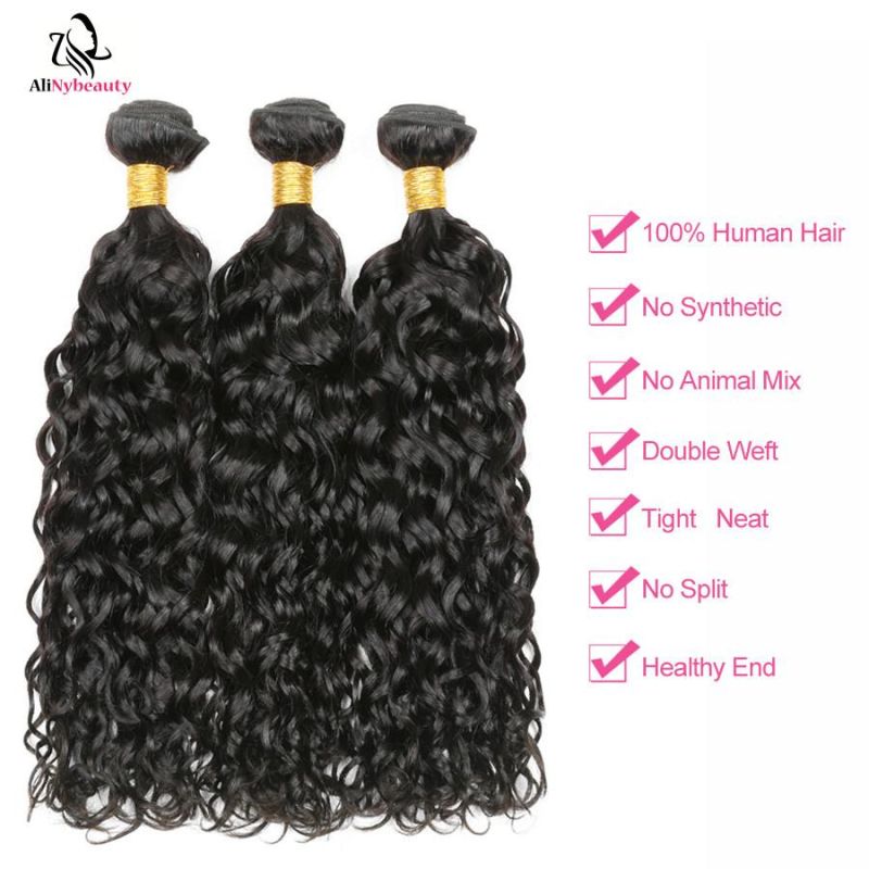 Alinybeauty High Quality Water Wave Virgin European Human Natural Hair