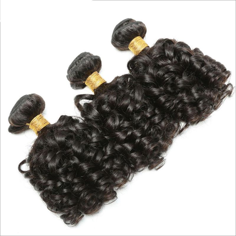 Brazilian Human Hair Loose Bouncy Curly Hair 2/3/4 Bundles with 4*4 Closure 100% Human Hair Natural Black Weave Extensions