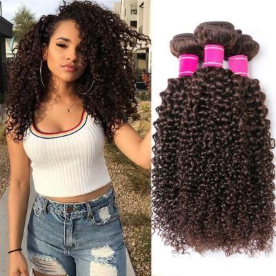 Brown Bundles Brazilian Curly Hair Bundles Remy Human Hair Extensions Kinky Curly Hair Weave Bundles for Black Women Dark Brown