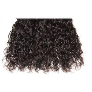 Top Quality Water Wave Human Hair Weaving Hair Bundles