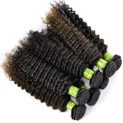 Brazilian Virgin Hair Extensions Kinky Curly Human Hair