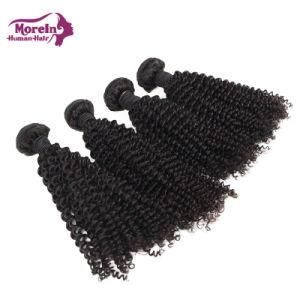 Brazilian Cuticle Aligned Cheap Kinky Curly 100% Human Virgin Hair Bundles