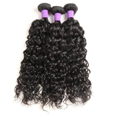 Wholesale 100% Human Hair Water Wave Unprocessed Remy Brazilian Hair Weft
