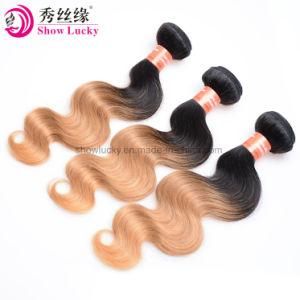 Unprocessed Virgin Virgin Peruvian Hair Two Tone Color 1b/27 Cheap Ombre Human Hair 100g Bundles