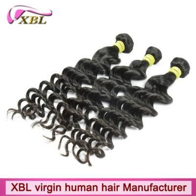 High Quality Raw Virgin Human Natural Brazilian Hair