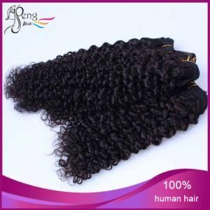 7A Brazilian Curly Cheap Vigin Emy Human Hair Weft