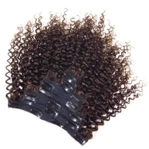 Dark Brown Indian Jerry Curly Clip in Human Hair Extensions