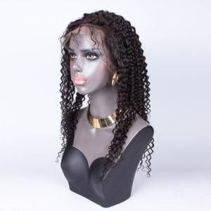 Cuticle Aligned Raw Mink Brazilian Full Lace Wigs Human Hair