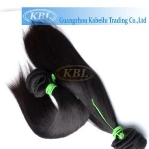 Wholesale Price Brazilian Grade 4A Human Hair