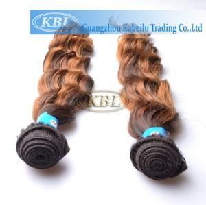 Brazilian Beautiful and Special Ombre Human Hair