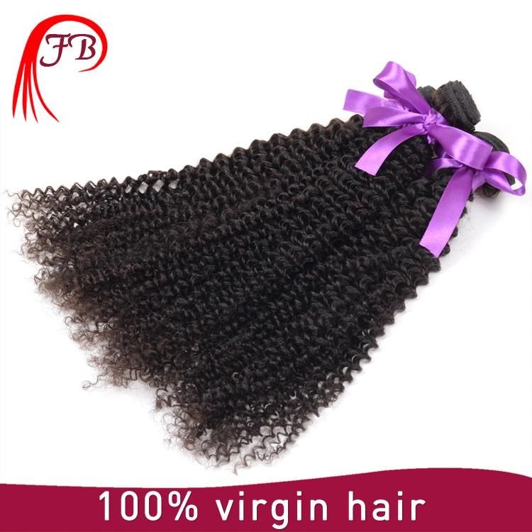 100% Virgin Brazilian Human Hair Kinky Curl Hair Weaving