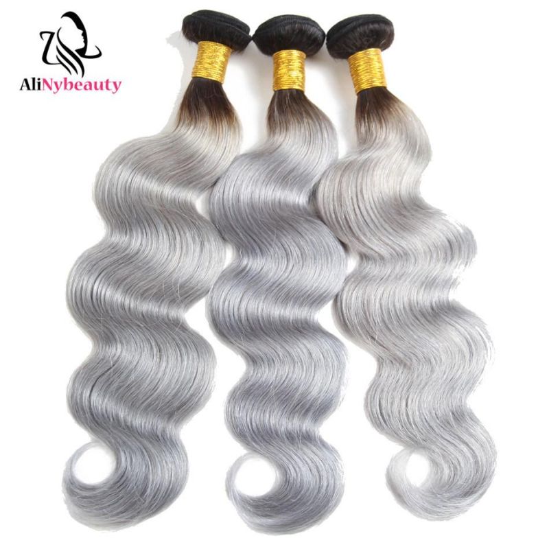 Color 1b/Grey Brazilian Virgin Human Hair