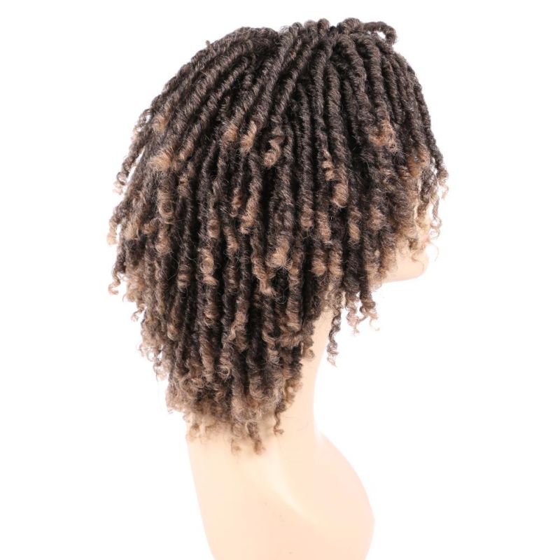 Fashion Roll Twist Ombre Dreadlock Braided Wig Short Curly Synthetic Hair Wigs for Black Afo Women Daily Natural Wigs