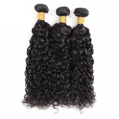 Wholesale Brazilian Hair Bundle Water Wave Wig Hair Weave Virgin Hair Vendors